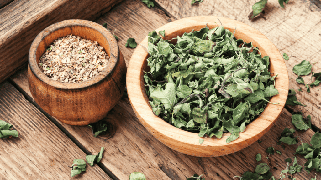 Bloating? Look Into SIBO (Small Intestinal Bacterial Overgrowth)